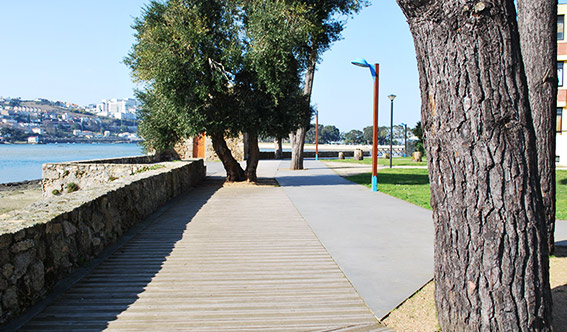 paseos2