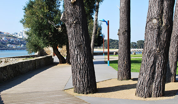 paseos3